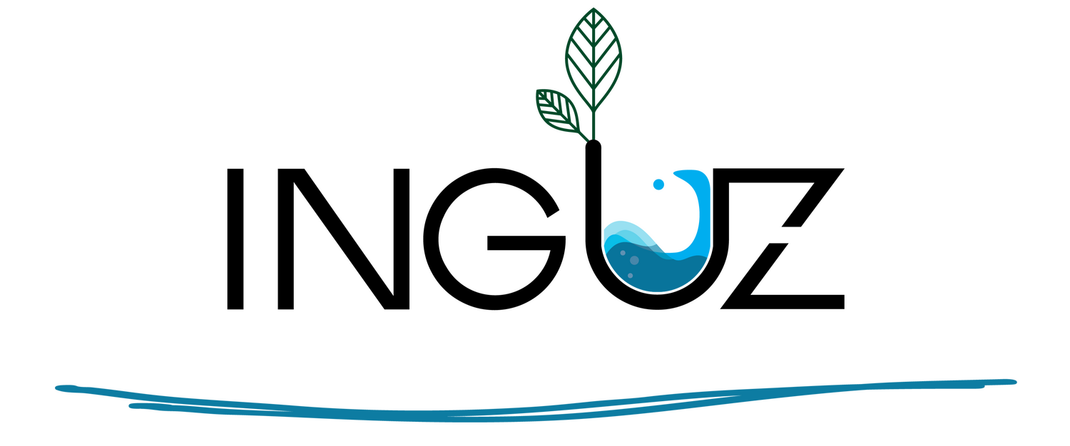 INGUZ Applied Hydrology Engineering Hidrología aplicada y diseño de drenaje pluvial para proyectos industriales y de infraestructura.